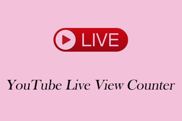 Real-Time YouTube Live View Counter to Get Accurate Data