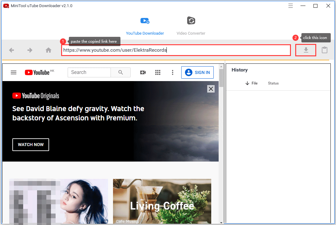 paste the copied link in the search bar