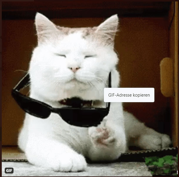 GIF-Adresse kopieren
